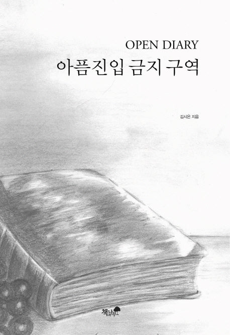 아픔진입 금지 구역
