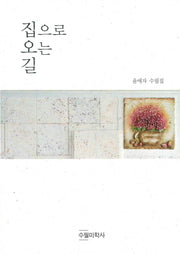 집으로 오는 길