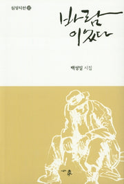 바람이었다(심상시선 103)