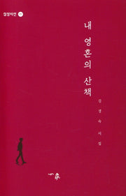 내 영혼의 산책(심상시선 111)