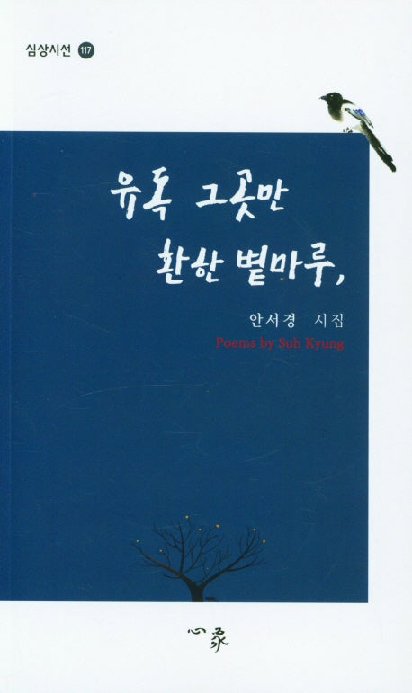 유독 그곳만 환한 볕마루,(심상시선 117)