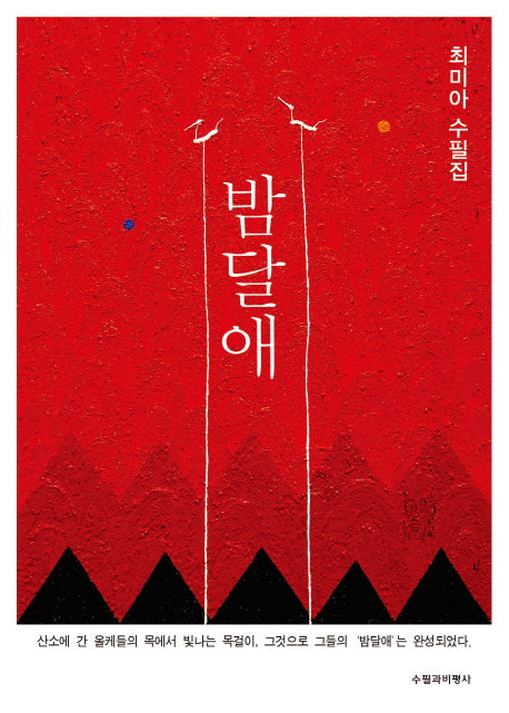 밤달애