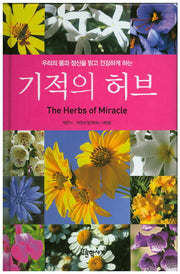 기적의 허브(양장본 HardCover)