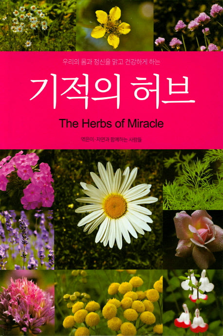 기적의 허브(우리의 몸과 정신을 맑고 건강하게 하는)