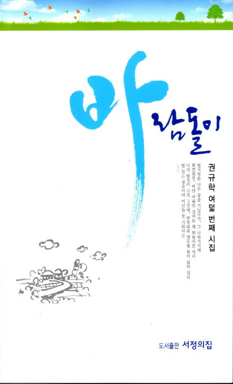 바람돌이