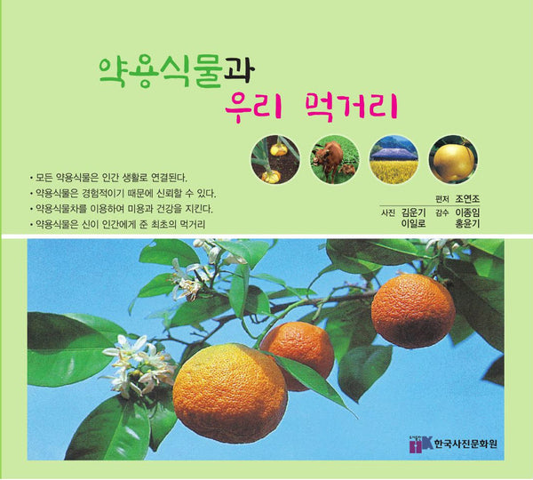 약용 식물과 우리 먹거리
