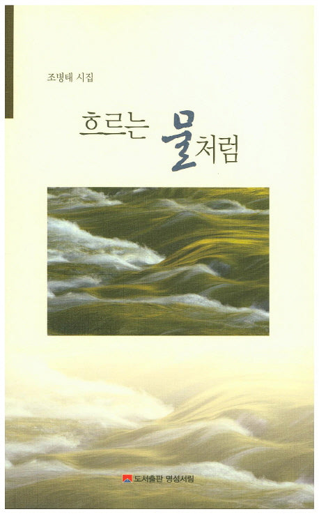 흐르는 물처럼(현대문학신문시선 15)
