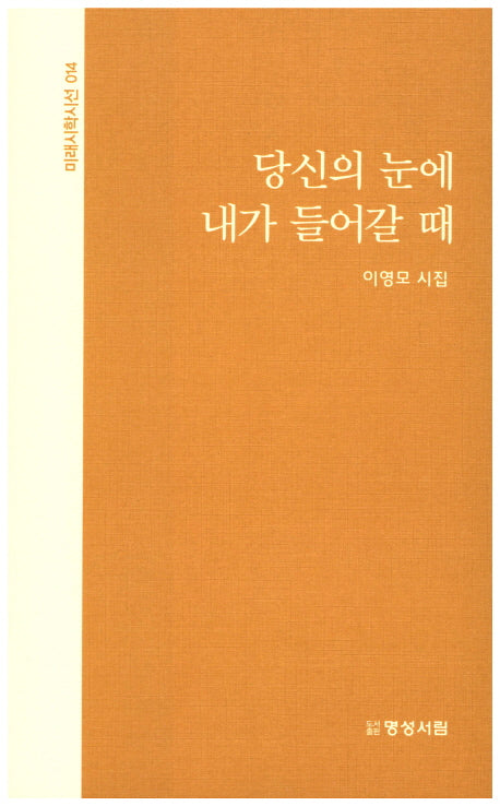 당신의 눈에 내가 들어갈 때(미래시학시선 14)