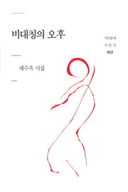 비대칭의 오후(시인동네 시인선 22)