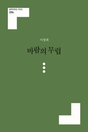 바람의 무렵(문학의전당 시인선 206)