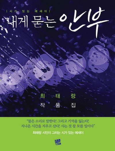 내게 묻는 안부(너울 20)