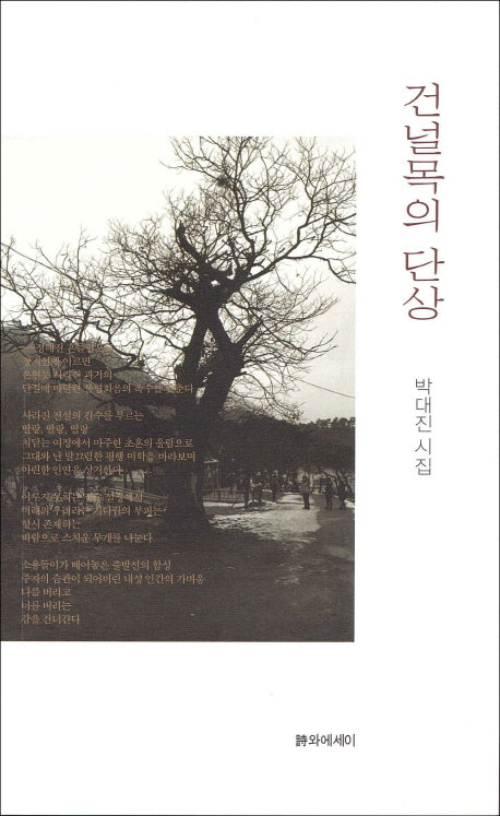 건널목의 단상