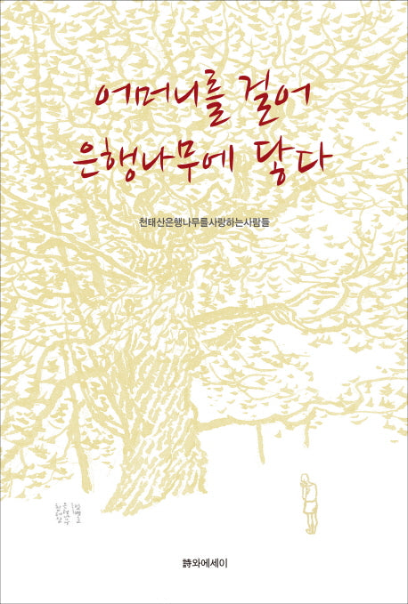 어머니를 걸어 은행나무에 닿다