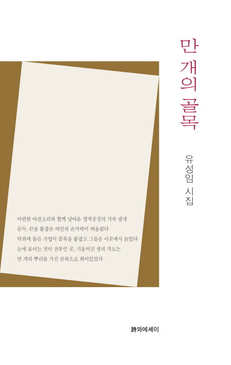 만 개의 골목