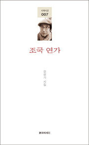 조국 연가(시에시선 7)