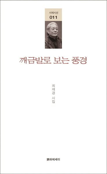 깨금발로 보는 풍경(시에시선 11)