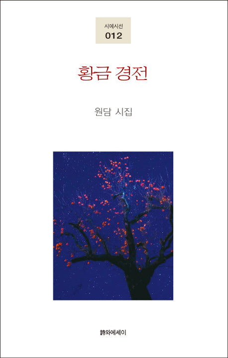 황금 경전(시에시선 12)(양장본 HardCover)
