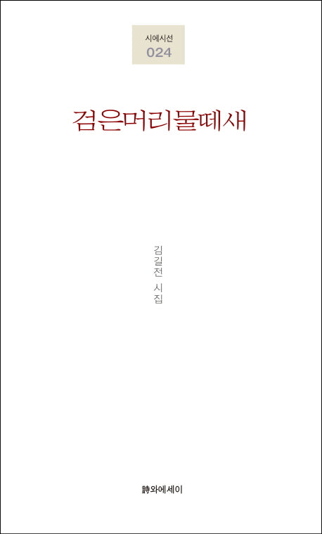 검은머리물떼새(시에시선 24)
