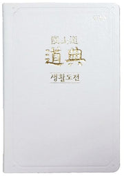 증산도 도전(생활도전)(상생판)