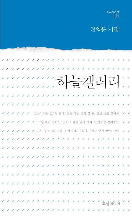 하늘갤러리(토담 시인선 21)