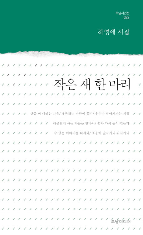 작은 새 한 마리(토담시인선 22)