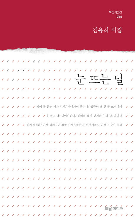 눈 뜨는 날(토담 시인선 26)