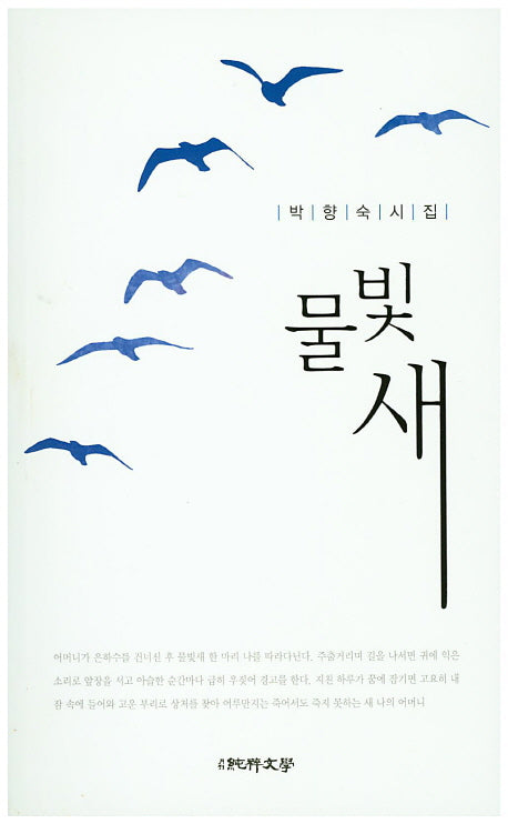 물빛새