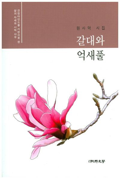 갈대와 억새풀(양장본 HardCover)