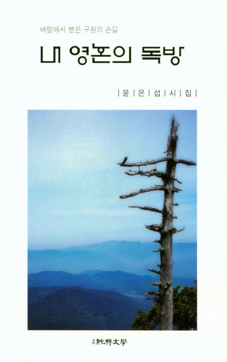 내 영혼의 독방(순수시선 586)
