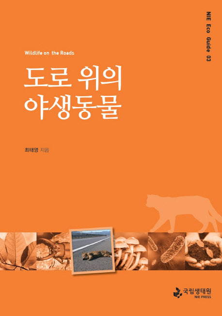 도로 위의 야생동물(NIE Eco Guide 3)
