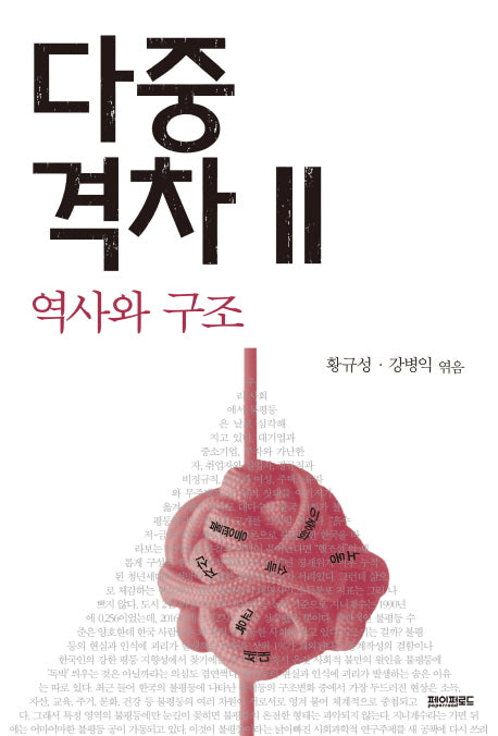 다중격차 2: 역사와 구조