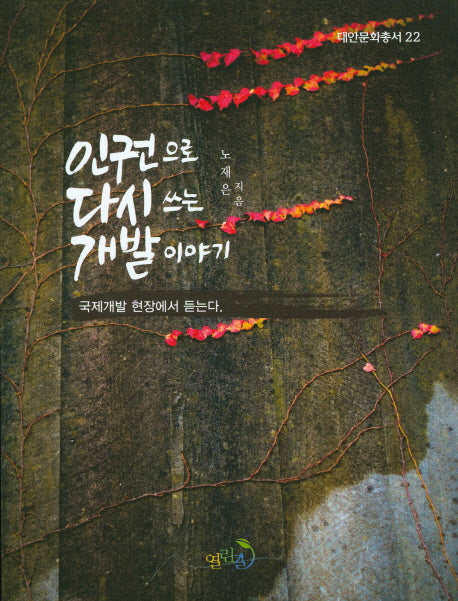 인권으로 다시쓰는 개발이야기(대안문화총서 22)