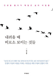 내려올 때 비로소 보이는 것들(반양장)