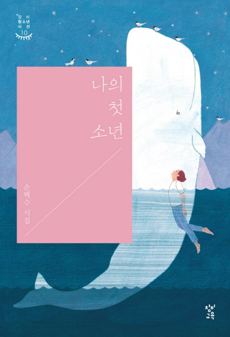 나의 첫 소년(창비청소년시선 10)