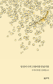 당신이 나의 고양이를 만났기를