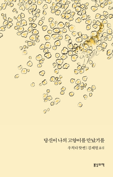 당신이 나의 고양이를 만났기를