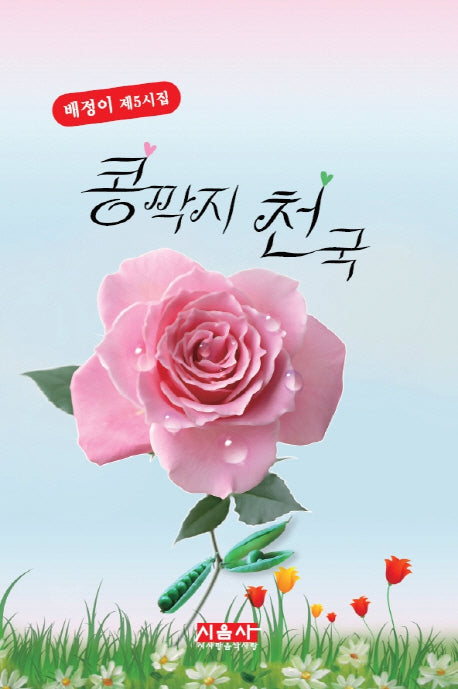 콩깍지 천국