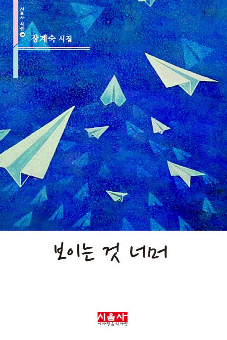 보이는 것 너머(시음사 시선 163)