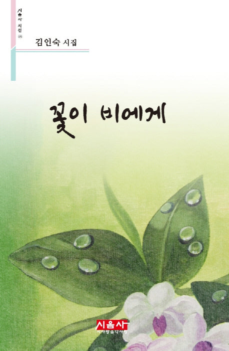 꽃이 비에게(시음사 시선 171)