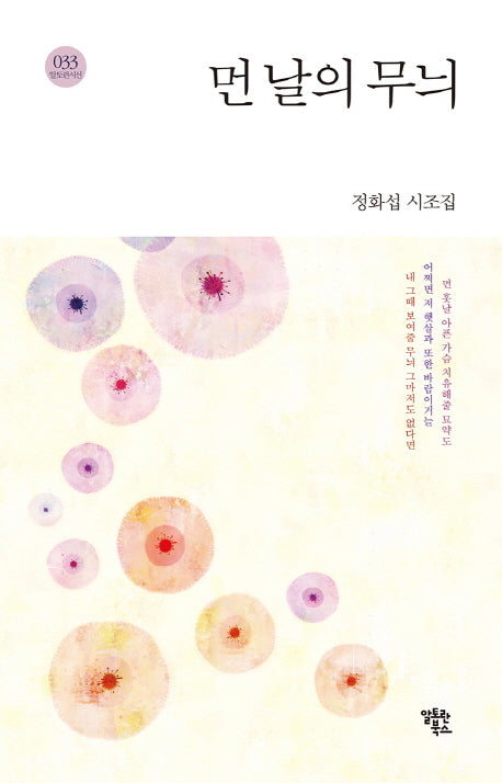 먼 날의 무늬(알토란시선 33)(양장본 HardCover)