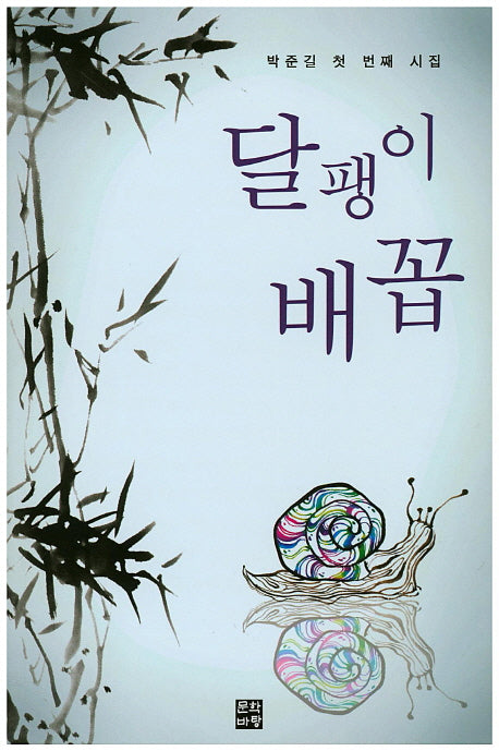 달팽이 배꼽