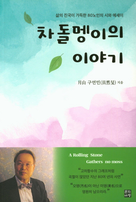 차돌멩이의 이야기