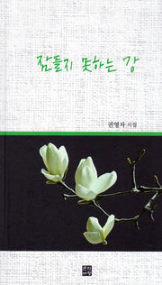 잠들지 못하는 강(양장본 Hardcover)