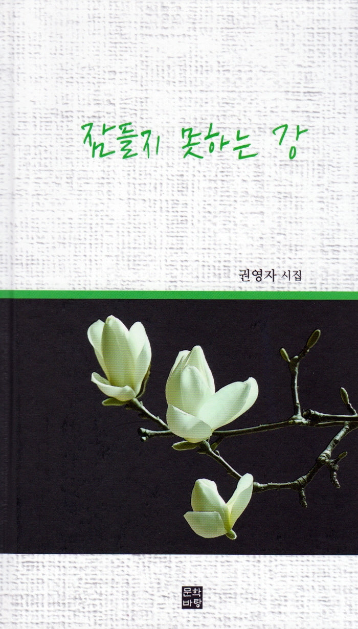 잠들지 못하는 강(양장본 Hardcover)