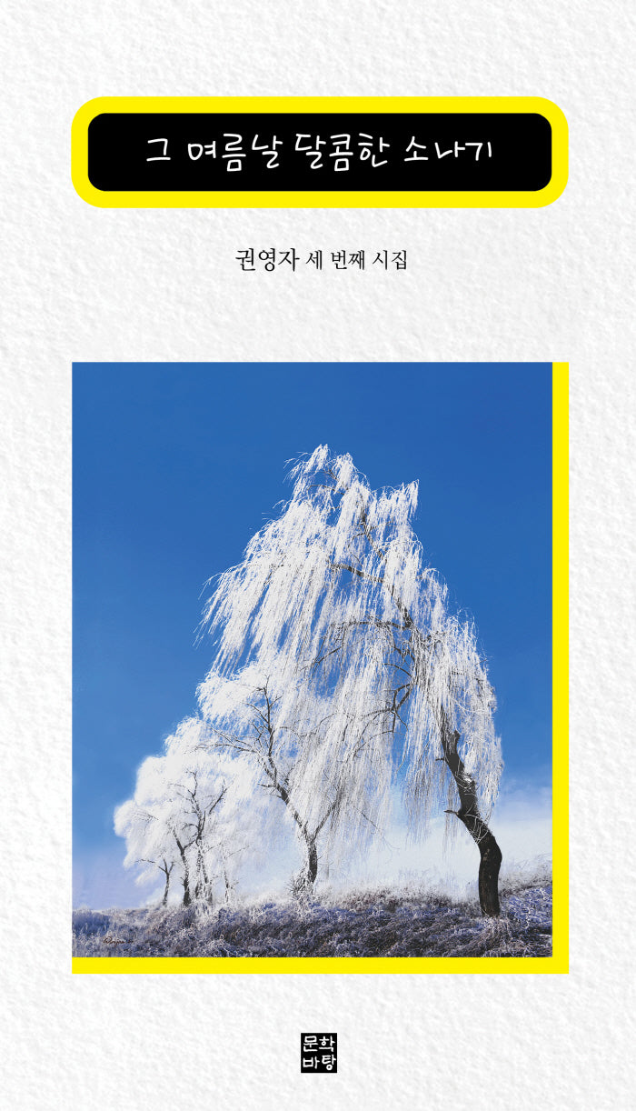 그 여름날 달콤한 소나기(양장본 Hardcover)