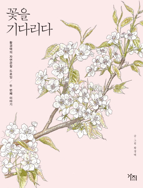 꽃을 기다리다(황경택의 자연관찰 드로잉 2)