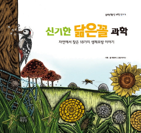 신기한 닮은꼴 과학(숨쉬는 책공장 과학아이 2)(양장본 Hardcover)
