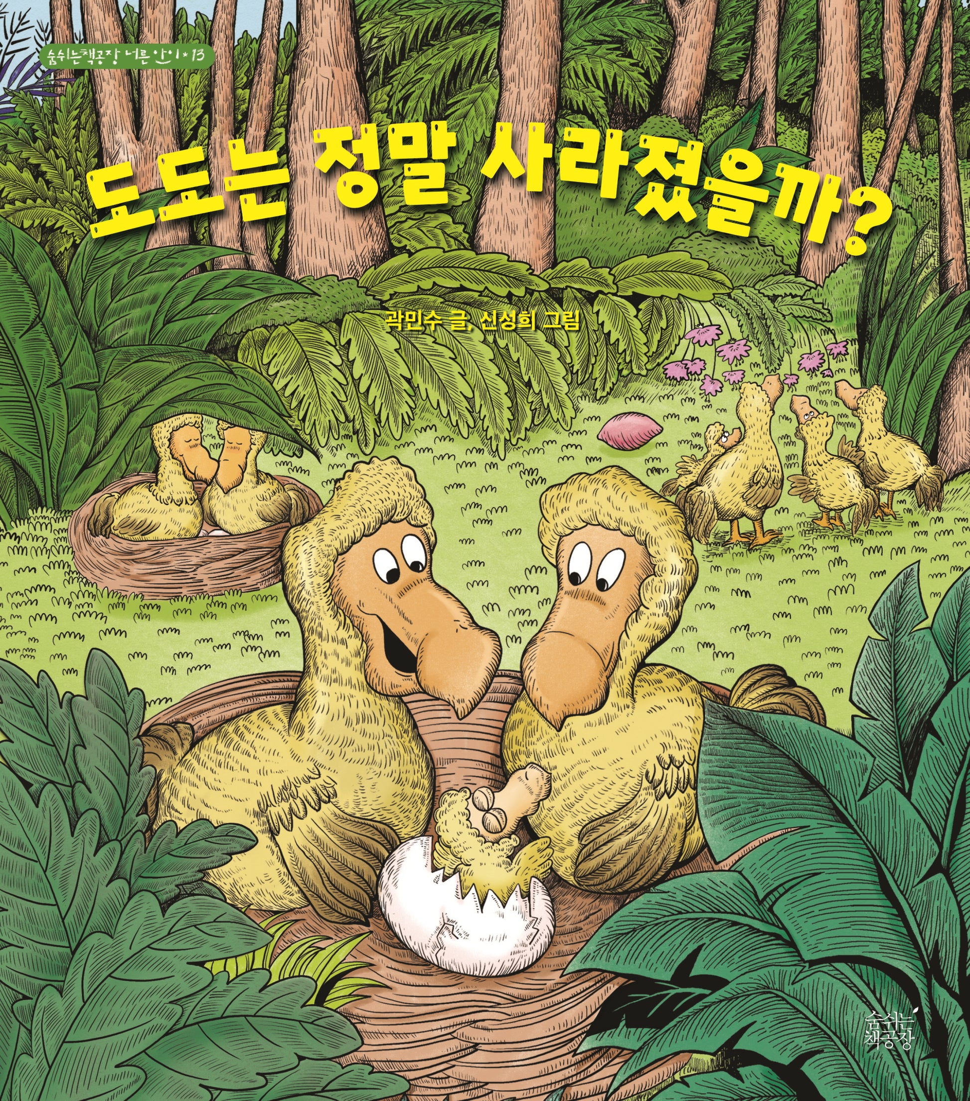 도도는 정말 사라졌을까?(숨쉬는책공장 너른 아이 13)