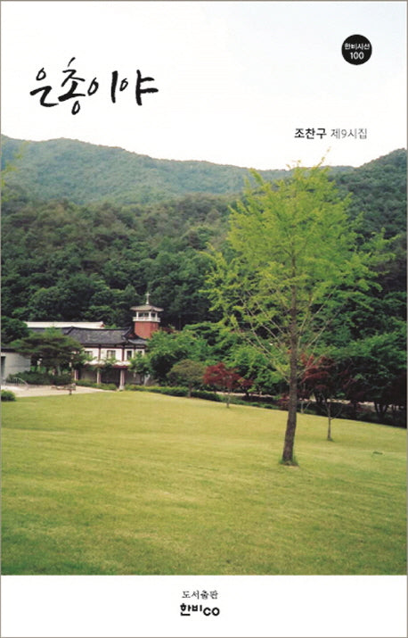 은총이야(한비시선 100)
