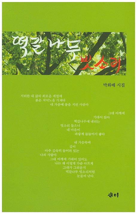 떡갈나무 빗소리